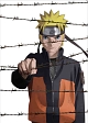 劇場版NARUTO－ナルト－　ブラッド・プリズン　【完全生産限定版】