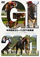 中央競馬GIレース　2011総集編