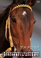 ブエナビスタ 最強牝馬の軌跡 ブエナビスタ 最強牝馬の軌跡