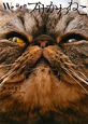 We　are　ブサかわねこ