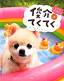 俊介てくてく　うごく！俊介DVD付き