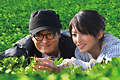 種まく旅人～みのりの茶～