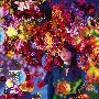 百花繚乱（通常盤）