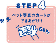 STEP4 �y�b�g�ʐ^�̃J�[�h���ł�������I�I