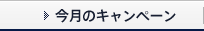 今月のキャンペーン