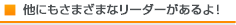 他にもさまざまなリーダーがあるよ！